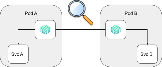 Protocol Detection